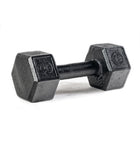 SPARTAN Hex Steel Dumbbell
