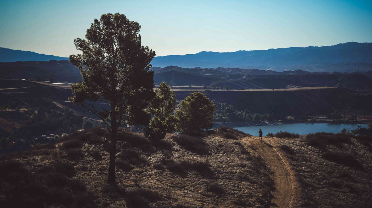 5 Eco-Friendly New Year's Resolutions That Every Spartan Should Make