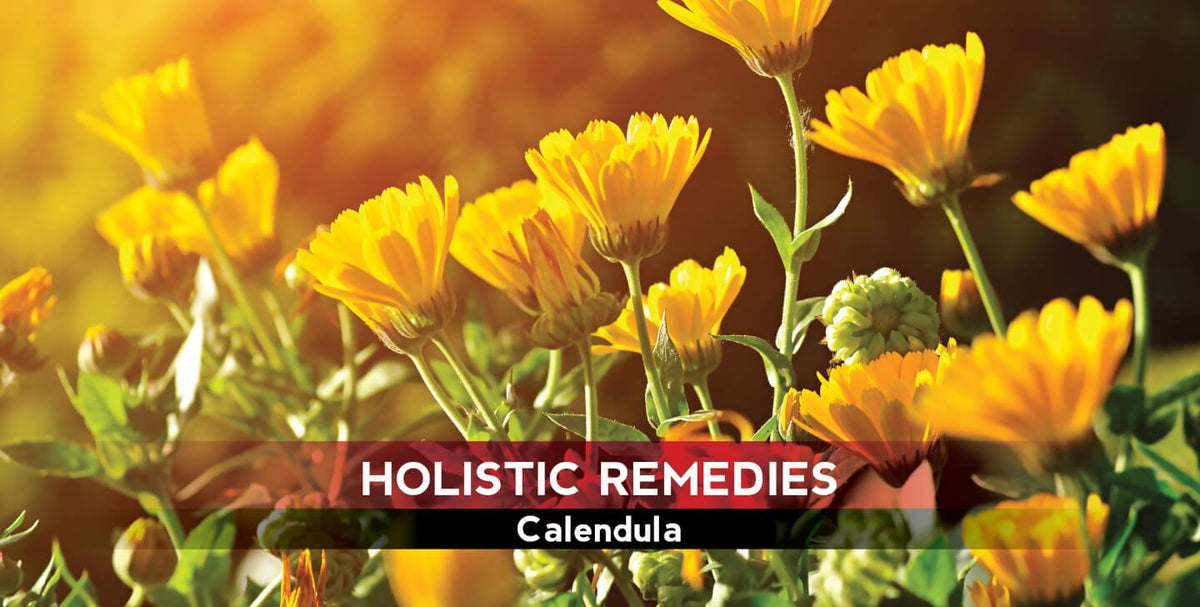 Calendula: The Skin Soother