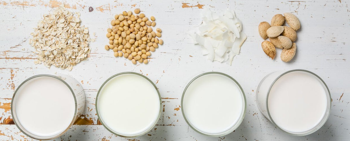 We Tested 4 Non-Dairy Milks for Flavor and Nutrition | Spartan