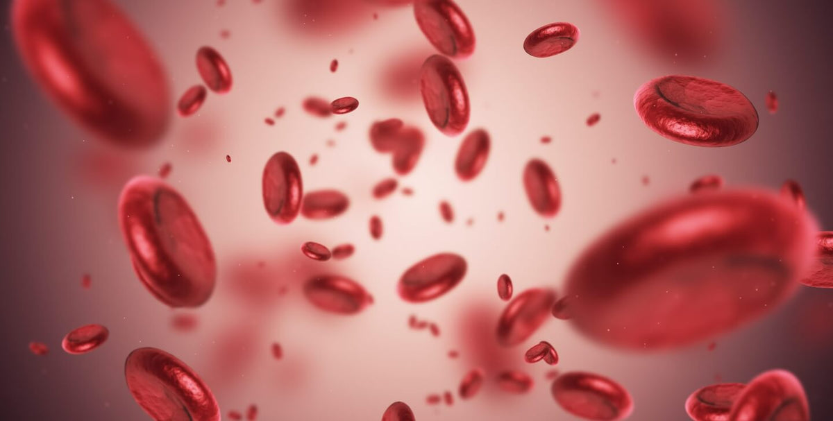 Does the 5:2 Diet Help Prevent Heart Disease?