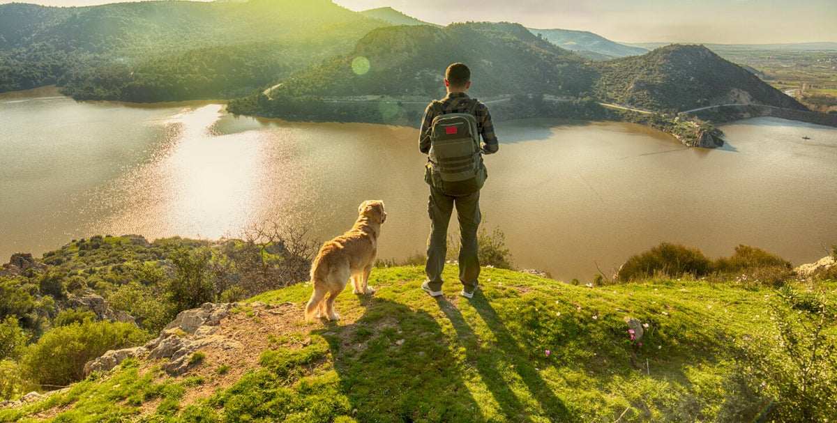 9 Ways a Dog Can Improve Your Health