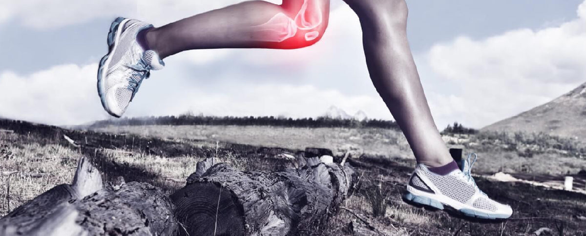 Will Glucosamine Save Your Knees?