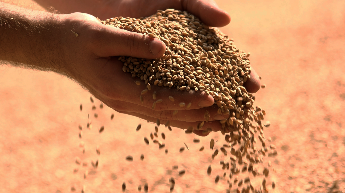 Why Eating Whole Grains Can Make You Feel Better Mentally and Physically