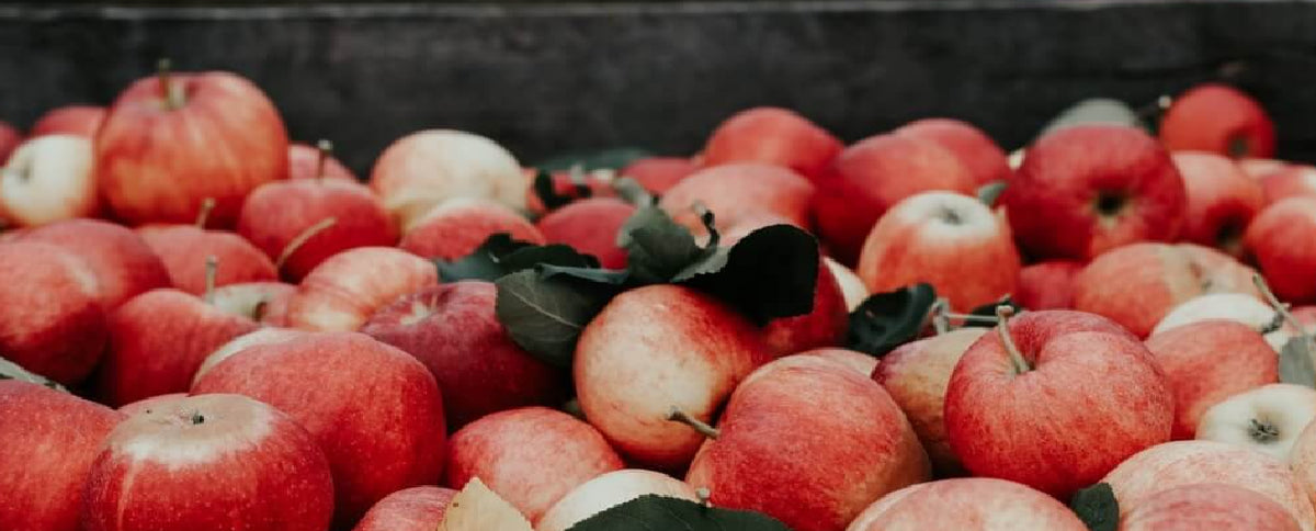 Apples: A Simple Staple