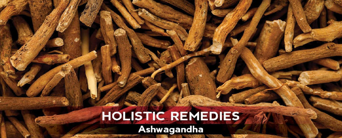 Ashwagandha: The Mysterious Healer