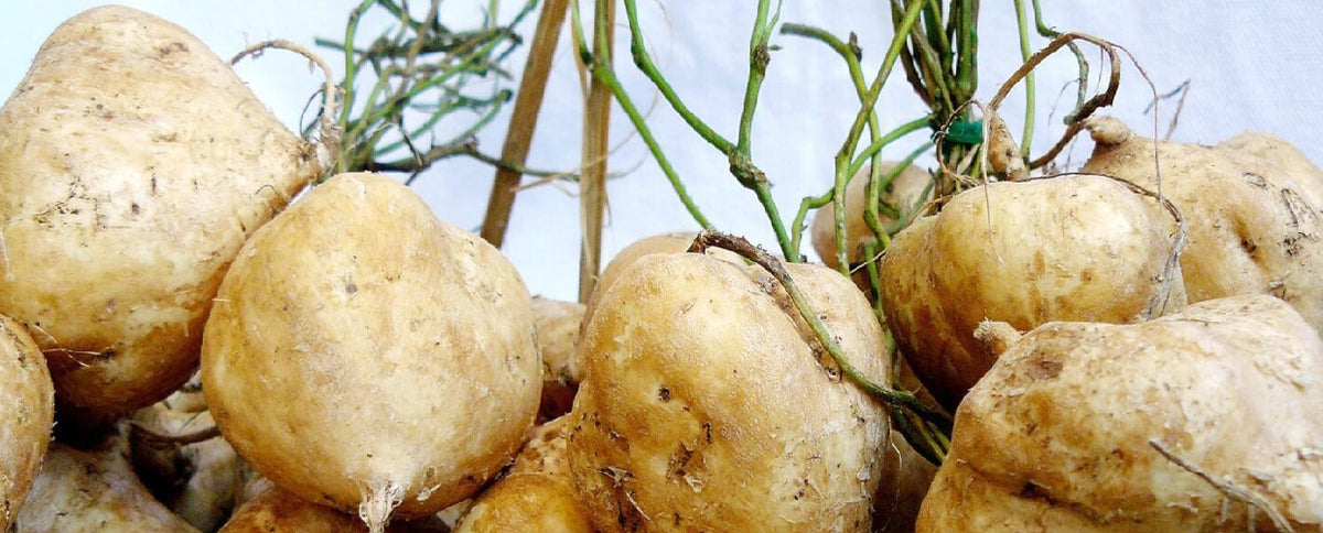 4 Gross Foods Athletes Should Eat