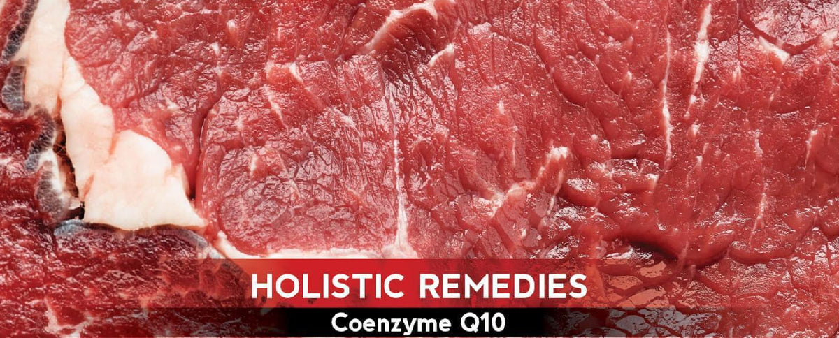 Coenzyme Q10: The Cell Protector