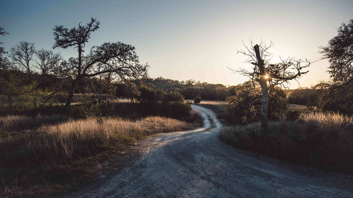 OCR Insider, March 2022: What to Know About Every Spartan Race This Month