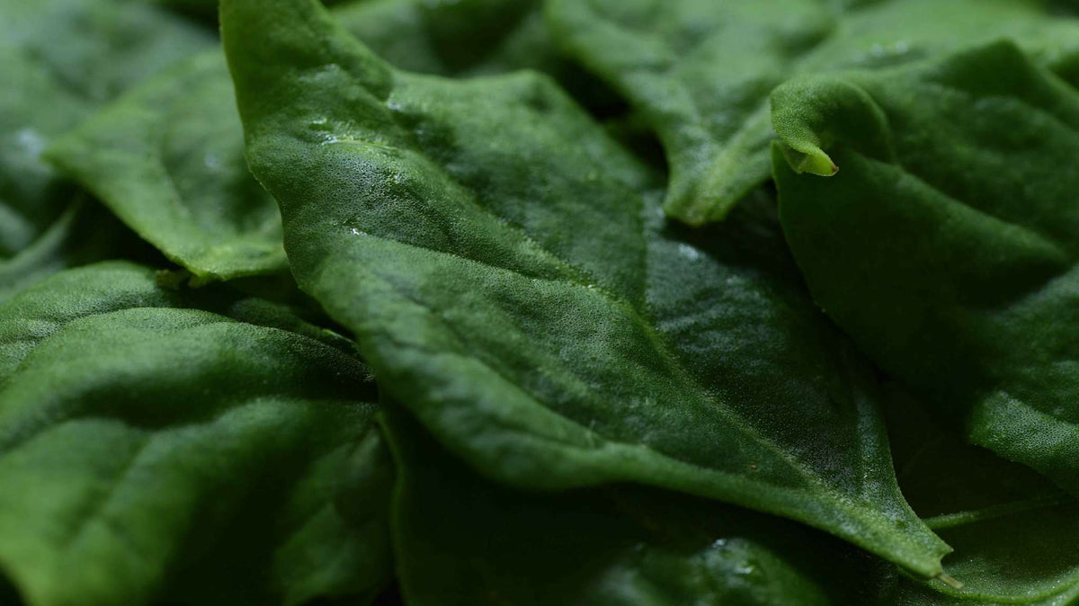 If You Eat a Whole-Foods Diet, Oxalates May Be a Threat. Here's How.