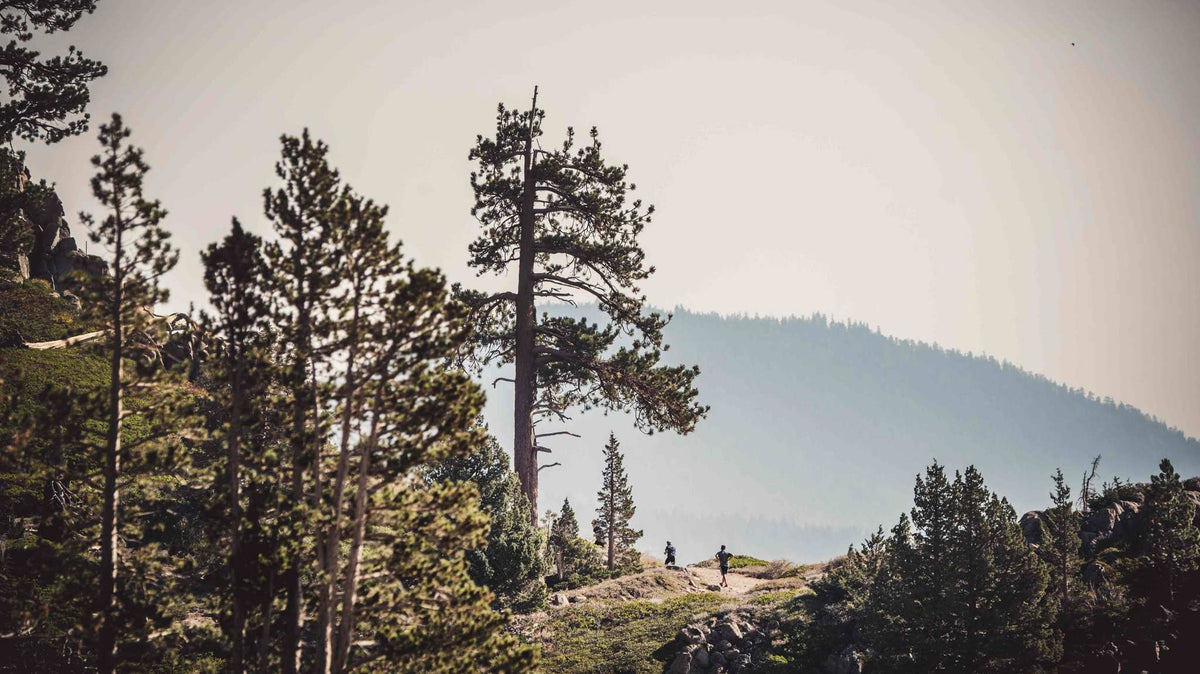 Every Spartan Trail Race on the 2024 U.S. Schedule