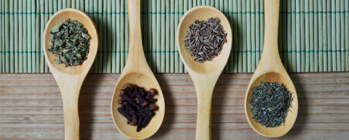 Goldenseal: The Natural Antibiotic