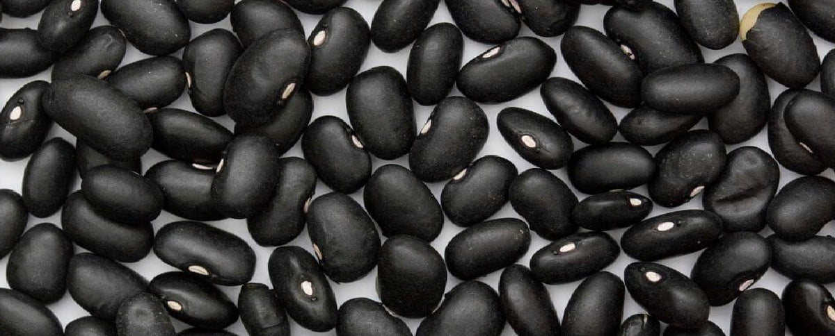 All Legumes Are Not Created Equal