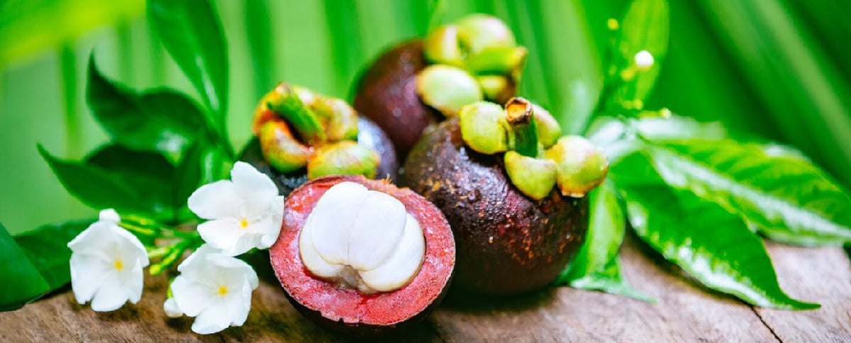 Mangosteen: The Tropical Antioxidant
