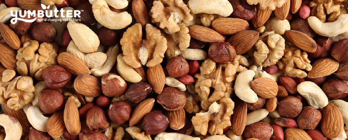 The Health Benefits of Nut Butter