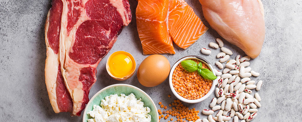 MACROS 101 Spartan Challenge: Week #1 — Protein Primer + Calorie Balance