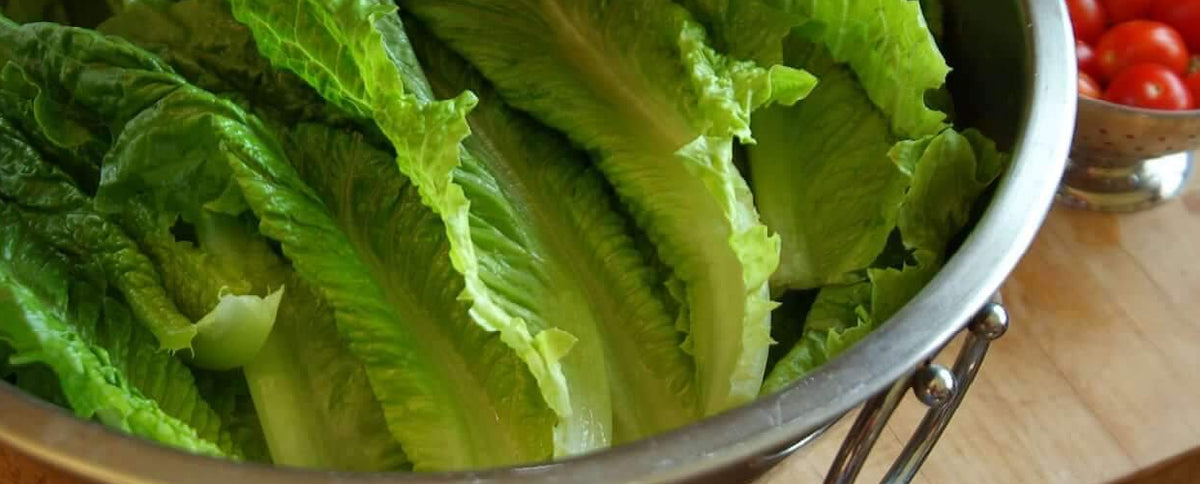 How to Add More Greens to Your Diet