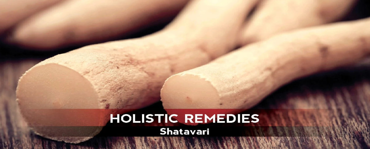 Shatavari: The Super Chill Pill | The Spartan Guide