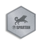 SPARTAN 2026 Dallas Hex Icon
