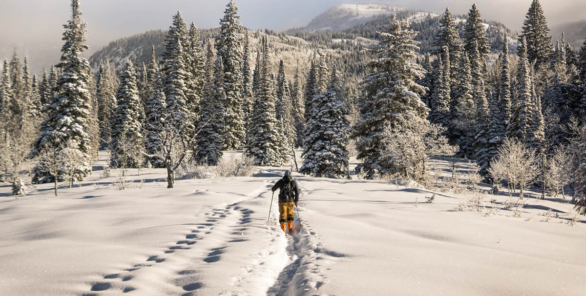 How to Start Cross-Country Skiing