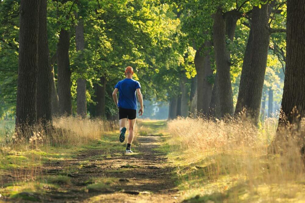 Workout of the Day: Return to the Track